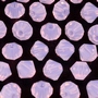 Balao Swarovski art. 5301 Rose Water Opal 4mm