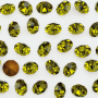 Strass Collection Czech Crystal base conica Olivine SS6,5  PP14  2mm