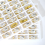Strass Navete Engrampado Supreme para costura Cristal Dourado 15x7mm