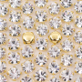Strass Engrampado Supreme para costura Cristal Dourado SS16  3,80mm