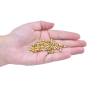 Strass Engrampado Supreme para costura Cristal Dourado SS16  3,80mm