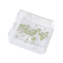 Strass Chaton Rose Maxima No HF Peridot SS4  1,6mm