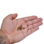 Micanga Color by LDI Cristais Ouro 01740L 60 aprox. 4,1mm