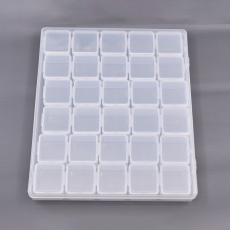 Caixa Organizadora Transparente com 30 Divisorias Individuais 21x17,5x2,5cm