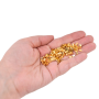 Micanga de Vidro Miyuki Half Tila Beads 2 Furos Gold Plated Metalico 24k TLH191 5x2,3x1,9mm