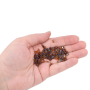 Micanga de Vidro Miyuki Half Tila Beads 2 Furos Picasso D Amber Transparente T TLH401 5x2,3x1,9mm