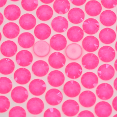 Strass Chaton Rose Máxima Preciosa® NO HF Cristal Neon Pink SS20 = 4,6mm